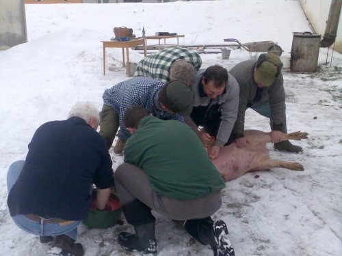 Soubor /hody (4).jpg